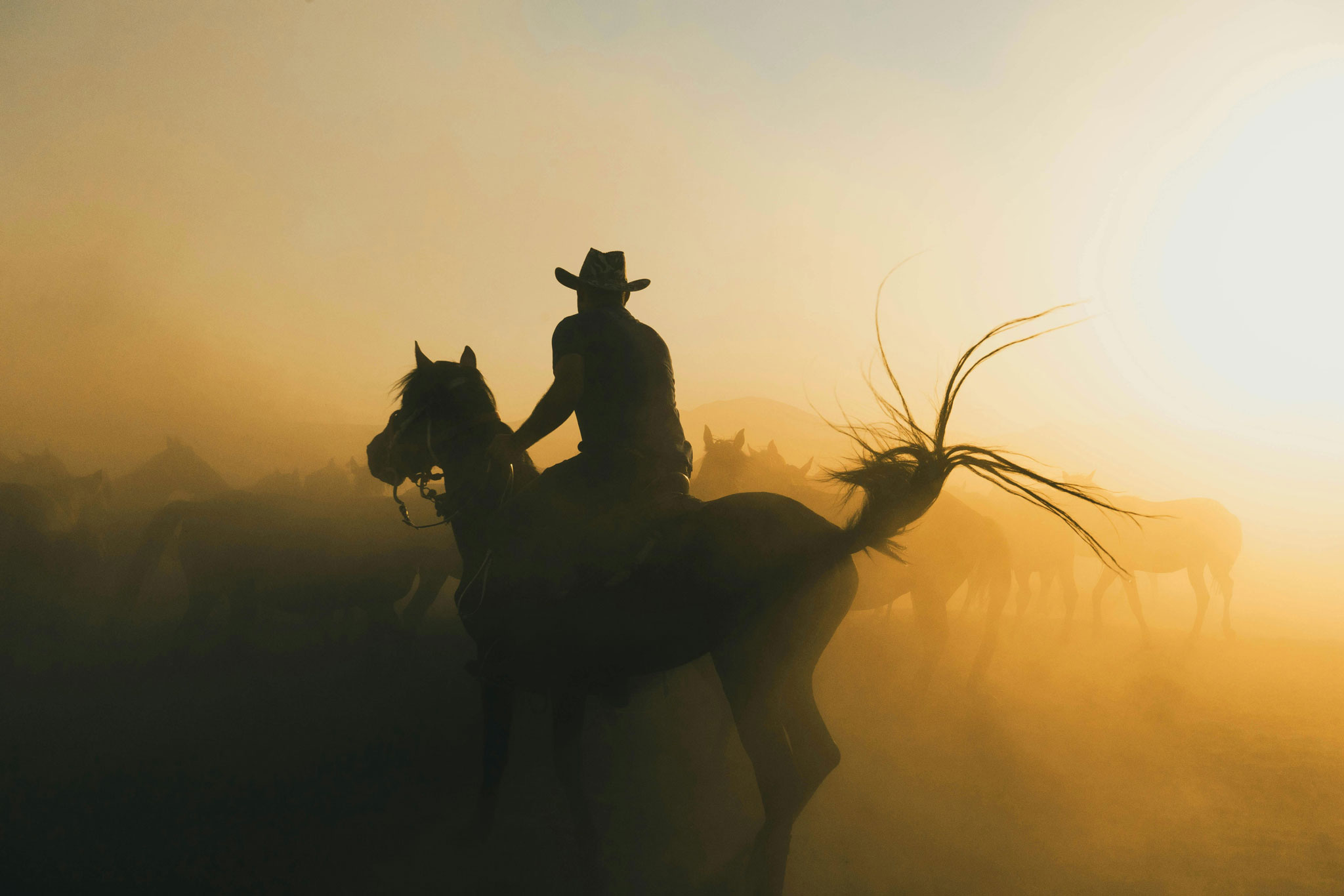 RodeoRegion